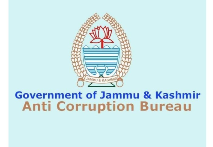 ACB books JEs, others for fictitious bills